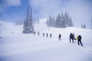 guided ski tours in squamish bc