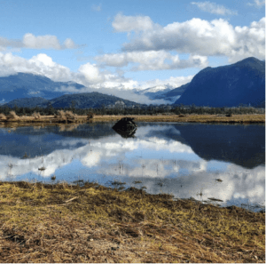 Top 5 Fall Squamish Hikes