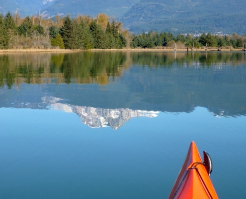 Kayak SUP & Canoe Rentals